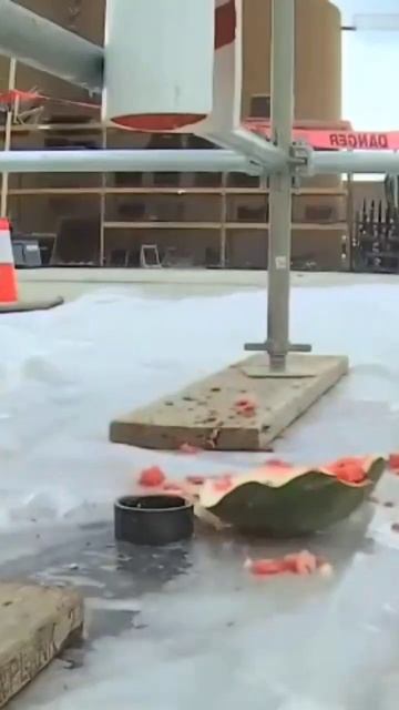 why use safety helmet? #safe #youtubeshorts #helmet #life #construction смотреть онлайн