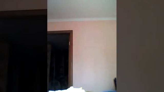 Кухня 1,2часть:картошка фри