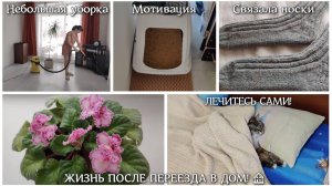 #89 ЖИЗНЬ ПОСЛЕ ПЕРЕЕЗДА! Небольшая уборка. Связала носки. ЛЕЧИТЕСЬ САМИ! Такие вот умные животные)