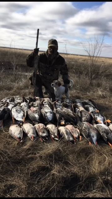 В ожидании весенней охоты смотреть онлайн