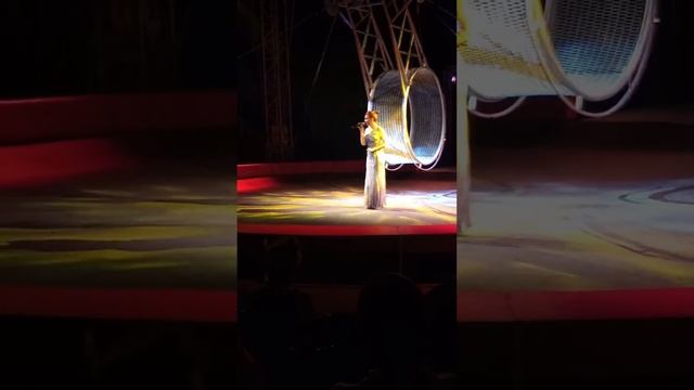 3 января 2024 г. начало представления #цирк #виват #стерлитамак смотреть онлайн