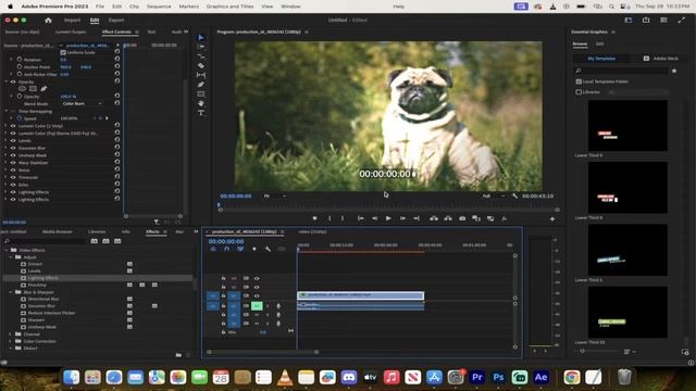 Quick Fix for Timeline Lag in Adobe Premiere Pro | Easy Tutorial смотреть онлайн