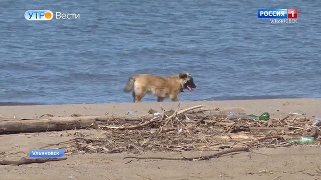 Пляж в Новом городе наконец-то благоустраивается смотреть онлайн