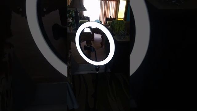 12" Ring Light | Bower Smart Photography Series смотреть онлайн