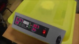 Автоматический китайский инкубатор на 48 куриных яиц