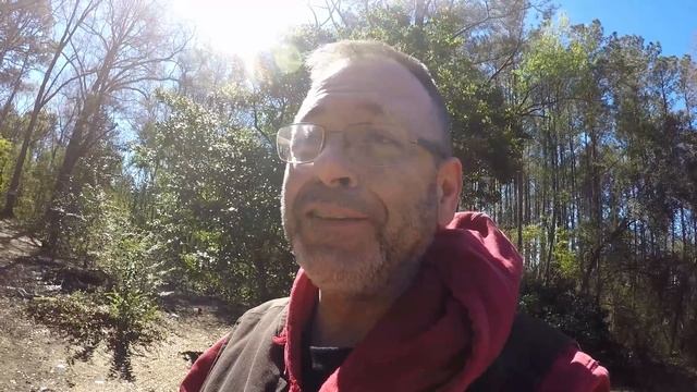 The Peppermint Experiment Phase 1 Combating Small Hive Beetles - Peppermint Pollen Patties