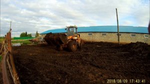 КФХ чистка навоза с загона！ погрузчик амкадор. 2018