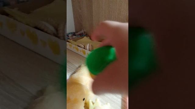 Милые собачки смотреть онлайн