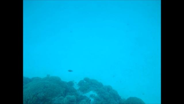 Bora Bora Day 2 смотреть онлайн