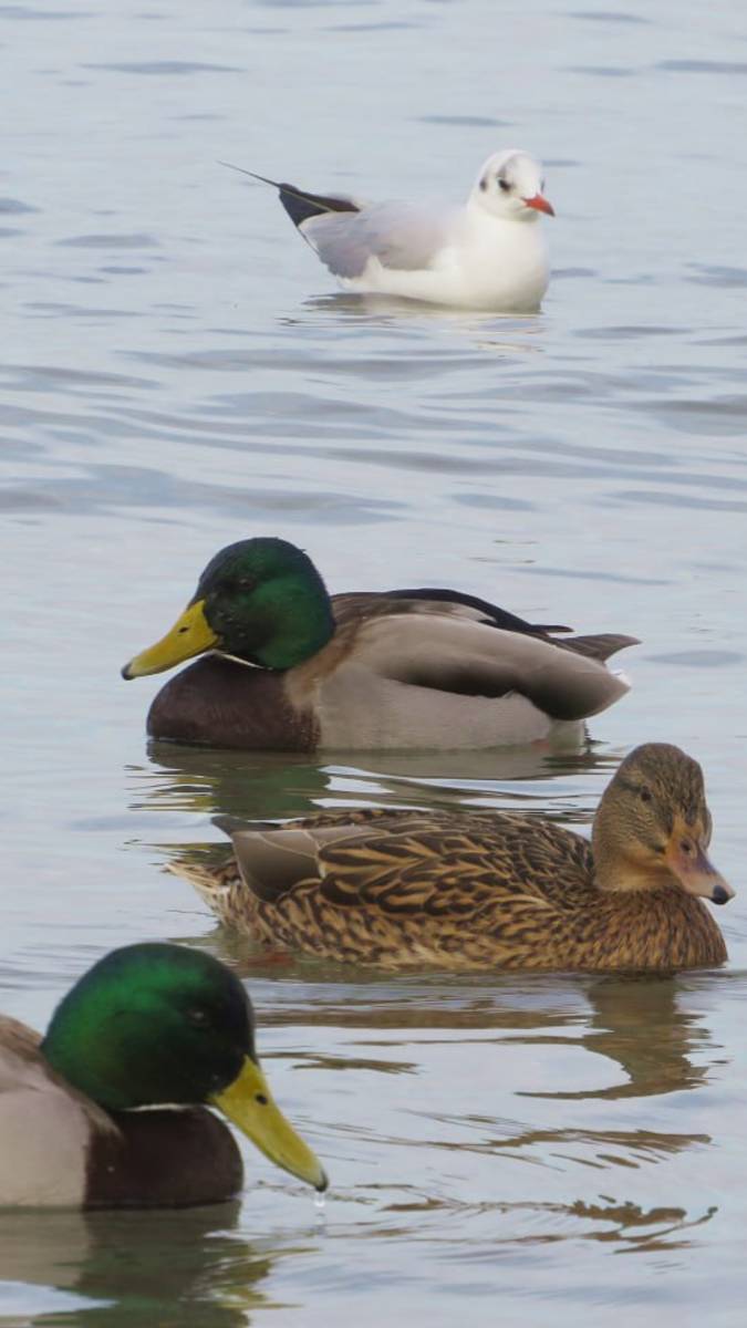 Анапа. Воспоминание о лете 2024 смотреть онлайн