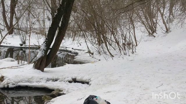 Утки решили покататься с горки, водоём им уже не нужен.