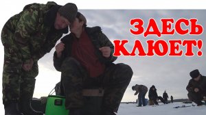 Ловля карася зимой без прикормки.