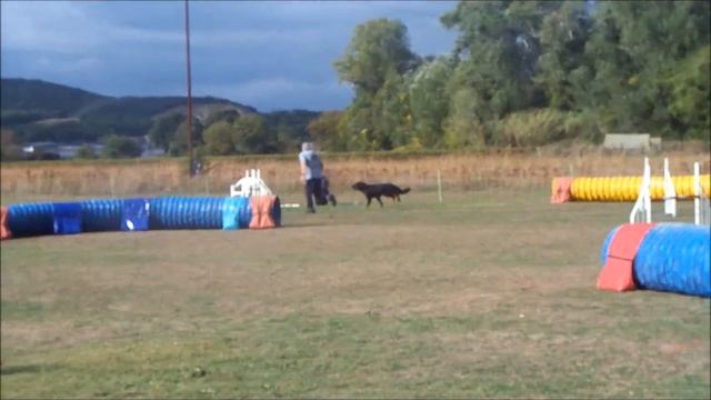 Pass Agility Jimbo, Patrick