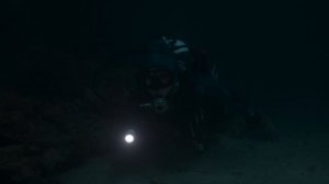 Секреты осьминога 3 серия «Социальные сети» (документальный сериал, 2024)