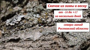 Скачок из зимы в весну, от морозов до цветения. 1-10 марта 2025, Ростовская область, северо-запад