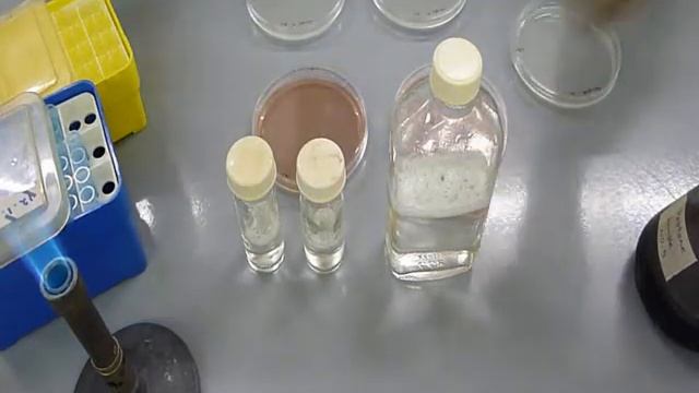 Becker Underwood Quality Assurance testing of Inoculants смотреть онлайн