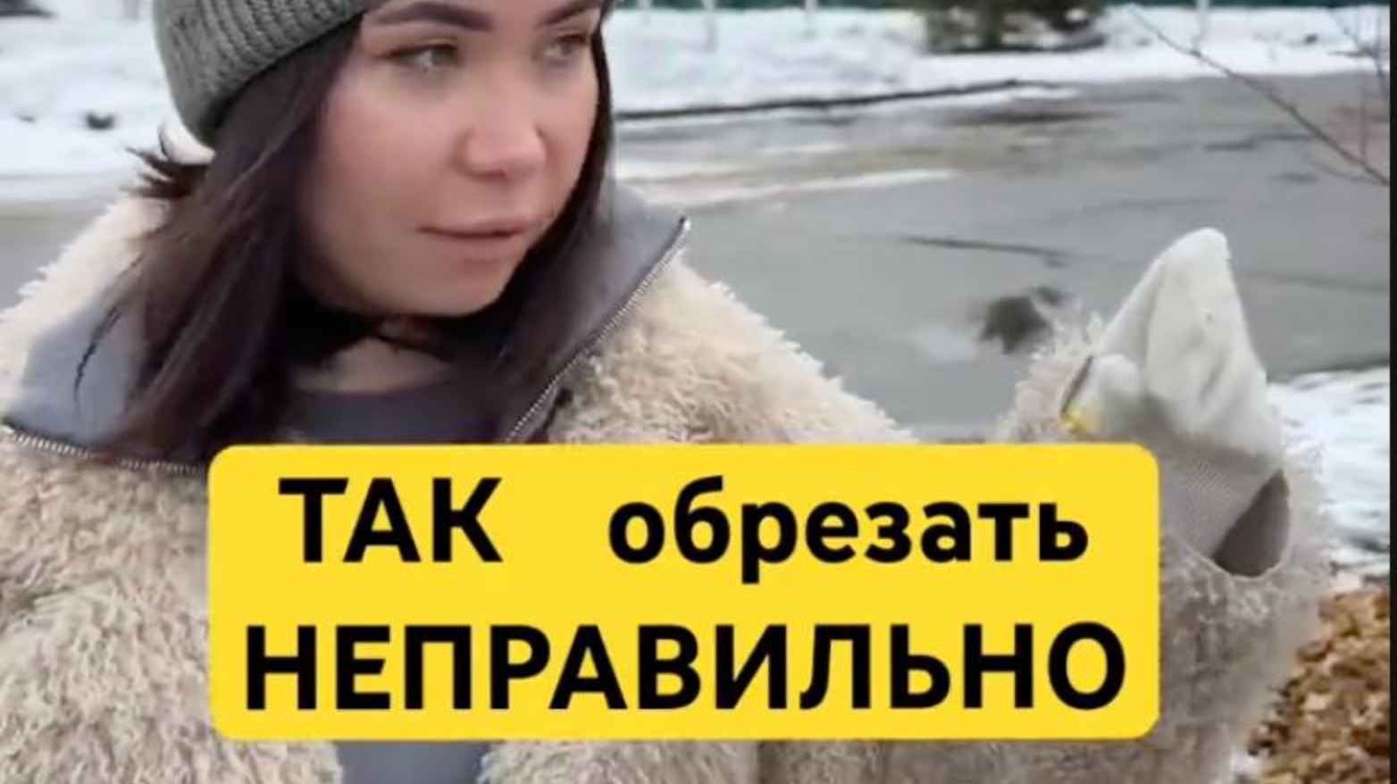 3 правила как легко и просто самому обрезать деревья смотреть онлайн