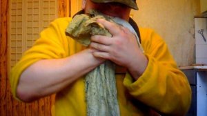 НЕ ПОВТОРЯЙТЕ ! как разогнуть подкову. как согнуть подкову . a shark-man. strongman