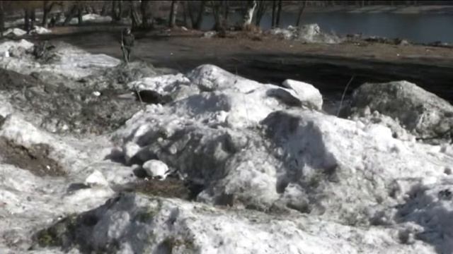 Лавина поиск смотреть онлайн