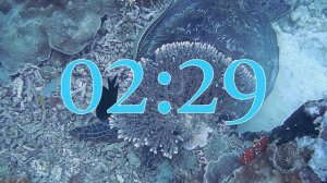 5 minute underwater timer | Timer with Alarm at the End | 4K
