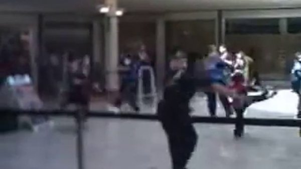 Dragon Kim's Karate USA Woodbrigde Mall Demo Form 5