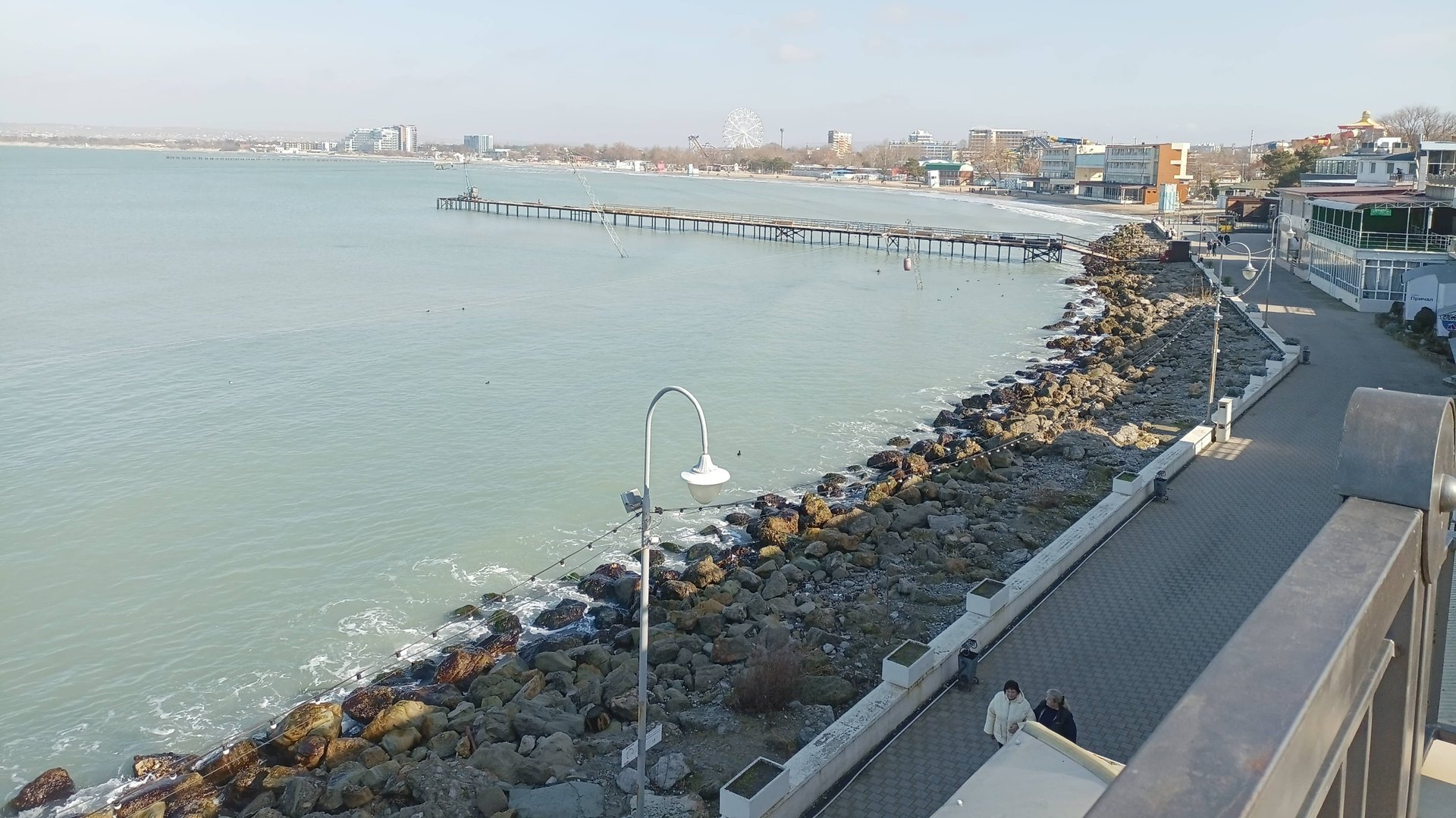 Лебеди на побережье Анапы смотреть онлайн