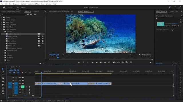 Adobe Premiere Pro: Video Collage Tutorial