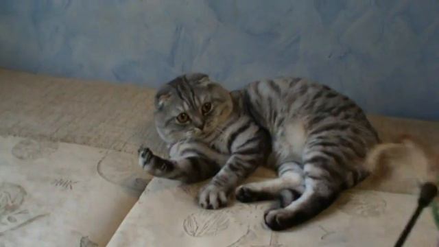 M2U00045 смотреть онлайн