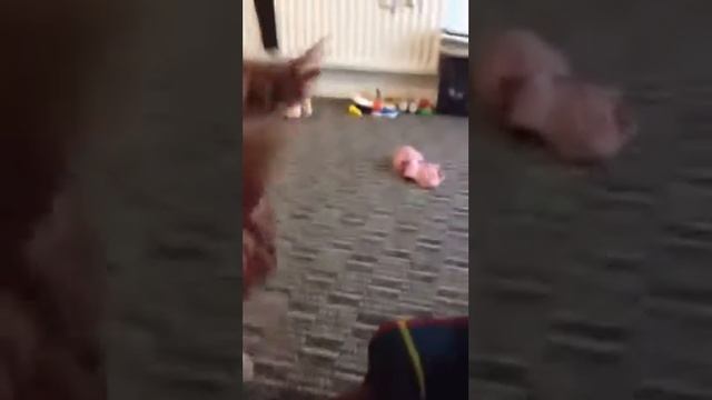 18 month old dancing to Nicki Minaj's Anaconda смотреть онлайн