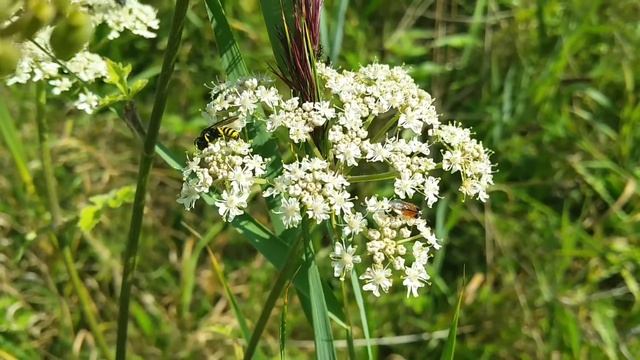 Een Bont Gezelschap Op Een Gezellig Terras