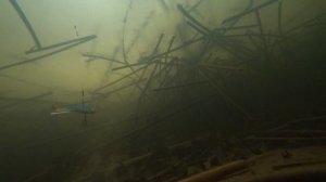 Подо льдом. Щука.Окунь.