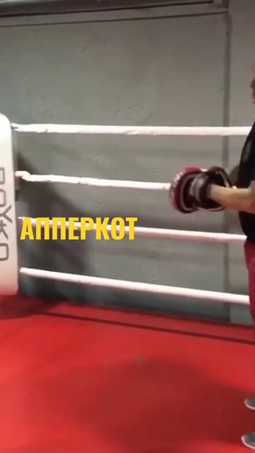 #shorts #апперкот #boxing #все_о_боксе  #работа_на_лапах #бокс #работанамешке  #спортивныйканал