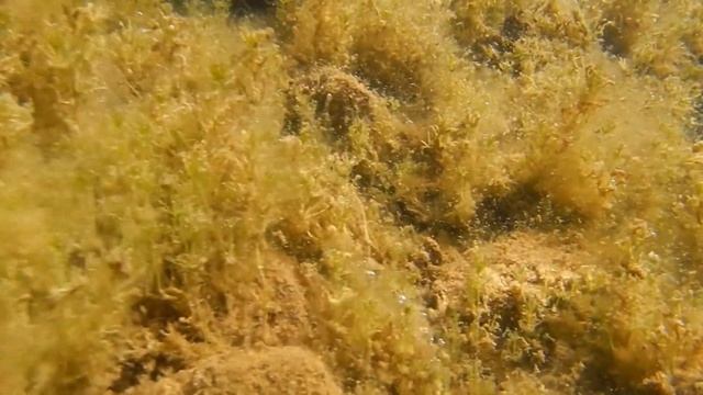 5 июля 2015 Зугрэс Карьер Под водой 3