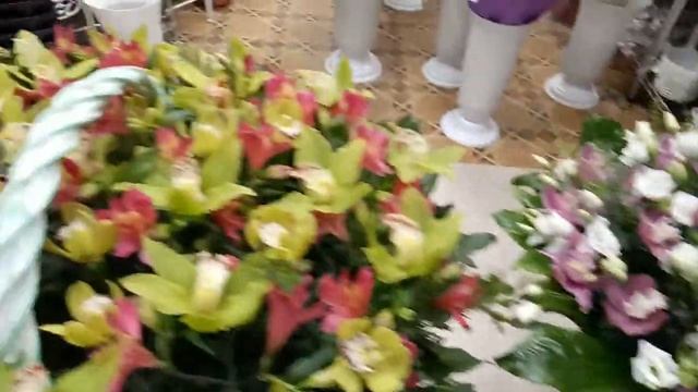 крестовкий остров смотреть онлайн