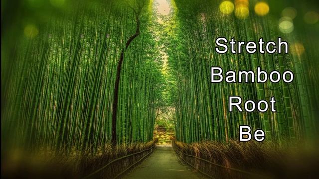 Switchword for height | Stretch Bamboo Root Be смотреть онлайн