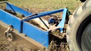 Уборка картофеля самодельной картофелекопалкой. harvesting potatoes