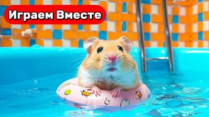 Умный Хомяк выбирается из НОВОГО БОЛЬШОГО лабиринта с ловушками ! Видео для детей