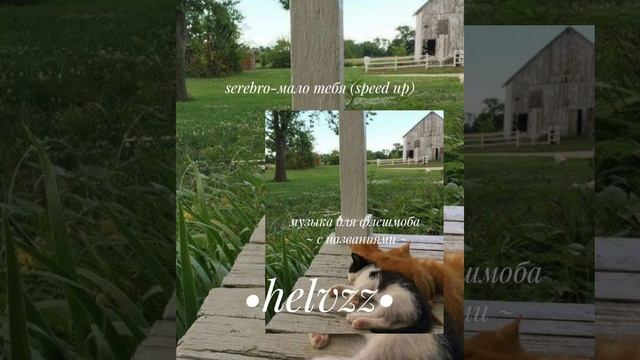 ✨музыка для флешмоба ✨  ~с названиями~