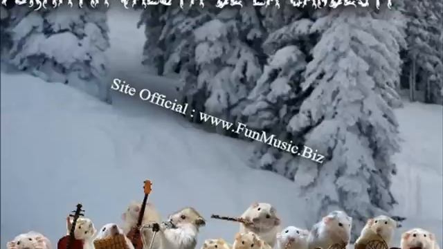 FORMATIA DE AUR BATUTA LA TROMPETA 2012 смотреть онлайн