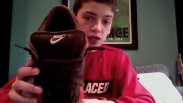 Nike Sb Bisons and Supreme Pickups