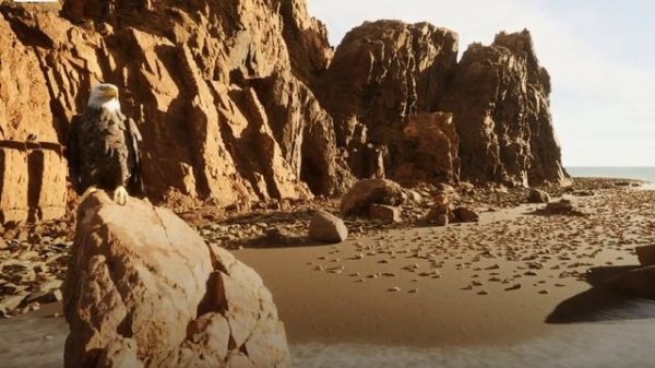 UNREAL ENGINE 5 АНИМАЦИЯ ПЕРСОНАЖА .