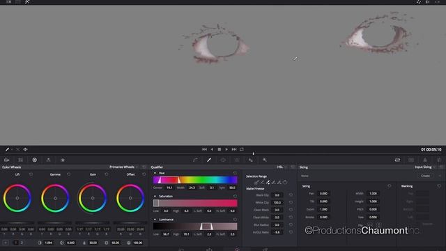 Démonstration de Coloration | Retouche | Créée sur Davinci Resolve смотреть онлайн