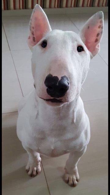 4 августа 2024 г. смотреть онлайн