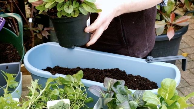 How to make an edible window box - Haskins how to #2 смотреть онлайн