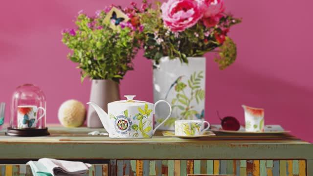 Amazonia смотреть онлайн