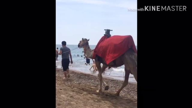 Я ЕДУ В ОТПУСК смотреть онлайн
