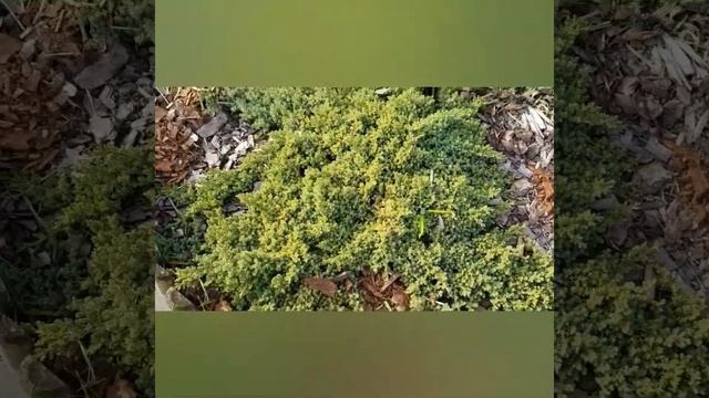 ПРОДЛИ МОЛОДОСТЬ ! ЗАЙМИСЬ ХОББИ ! СДЕЛАЙ СВОЙ ДОМ ЛУЧШЕ ! ВЫХОДНЫЕ С ПОЛЬЗОЙ !