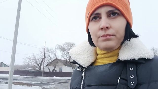 Подстриглись Закладки Играем с Барбосом смотреть онлайн