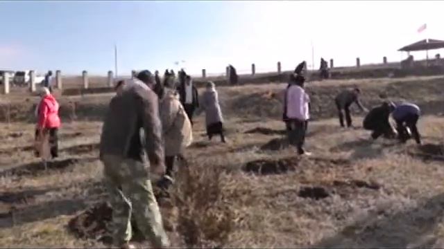 Высадка деревьев в парке Народного Единства в х. Погорелов 2015 смотреть онлайн
