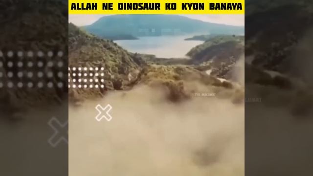 Allah ne dinosaur 🦕 ko kyon banaya | Allah ne dinosaur 🦖 ko kyon paida kiya #shorts смотреть онлайн